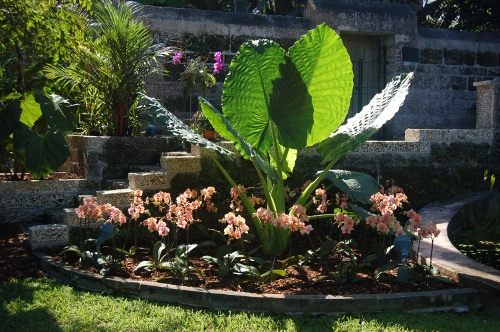 [Image: Fairchild Amphitheater.]