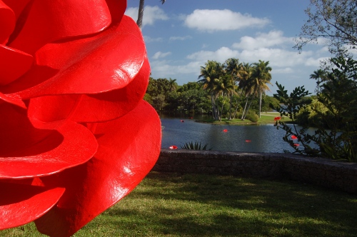 [Image: Detail with view of petals in pond.]