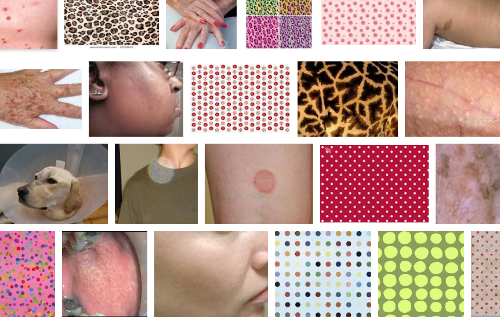 [Image: Google Image Search results for "spots." Note Damien Hirst painting at lower edge.]
