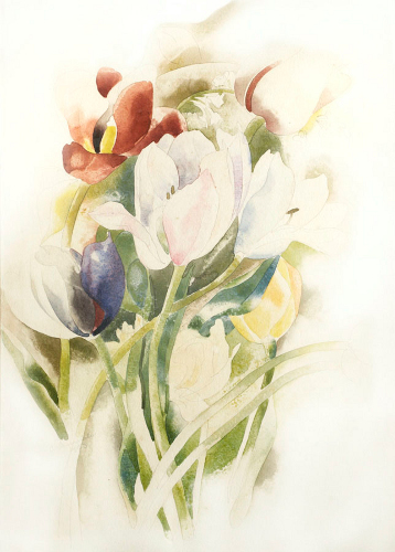 [Image: Charles Demuth, Tulips, 1923, watercolor on paper, 14 x 10 inches, courtesy of Meredith Ward Fine Art]