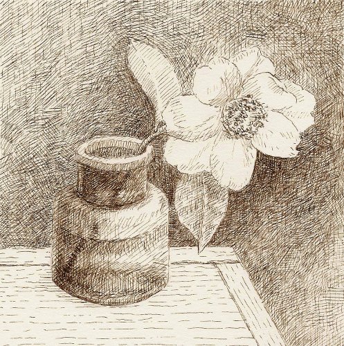 [Image: Camellia in Inkwell, April 21, 2012, brown ink on paper, 5 x 5 inches]