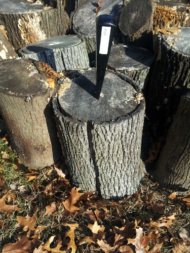 [Image: When I was an artist in residence in Northern California in April I got a woodchopping lesson from a seasoned forester. One, knock a splitting wedge into an amenable place in the log using a drilling hammer.]