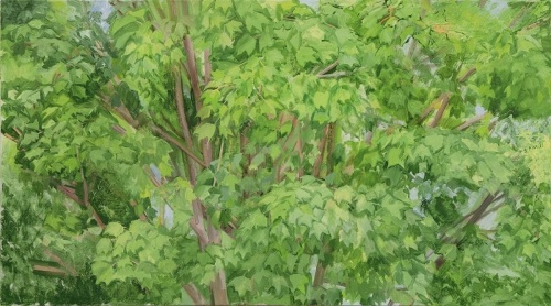 [Image: Sylvia Plimack Mangold: The Maple Tree (Summer), 2011, oil on linen, 20 by 36 inches, courtesy of the Norton Museum of Art]