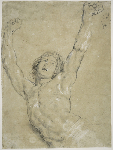 [Image: Peter Paul Rubens, Flemish (Siegen, Westphalia 1577 - 1640 Antwerp, Belgium), A Study for Christ for "The Elevation of the Cross," 1610-11, Flemish, black and white chalk and charcoal on light gray antique laid paper discolored to tan, 40.3 x 29.8 cm (15 7/8 x 11 3/4 in.), Harvard Art Museums/Fogg Museum, Gift of Meta and Paul J. Sachs]