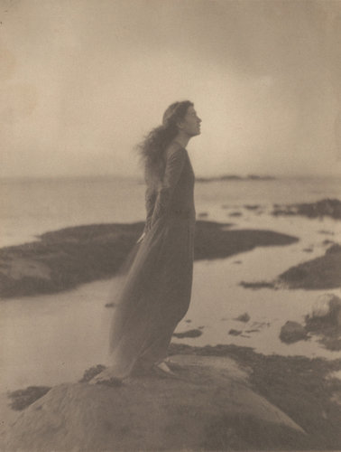 [Image: Clarence H. White, American, 1871–1925, The Sea [Rose Pastor Stokes, Caritas Island, Connecticut], 1909, printed after 1917, palladium print, the Clarence H. White Collection, assembled and organized by Professor Clarence H. White Jr., and given in memory of Lewis F. White, Dr. Maynard P. White Sr., and Clarence H. White Jr., the sons of Clarence H. White Sr. and Jane Felix White]